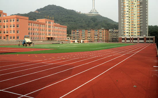 混合型塑胶跑道场地图